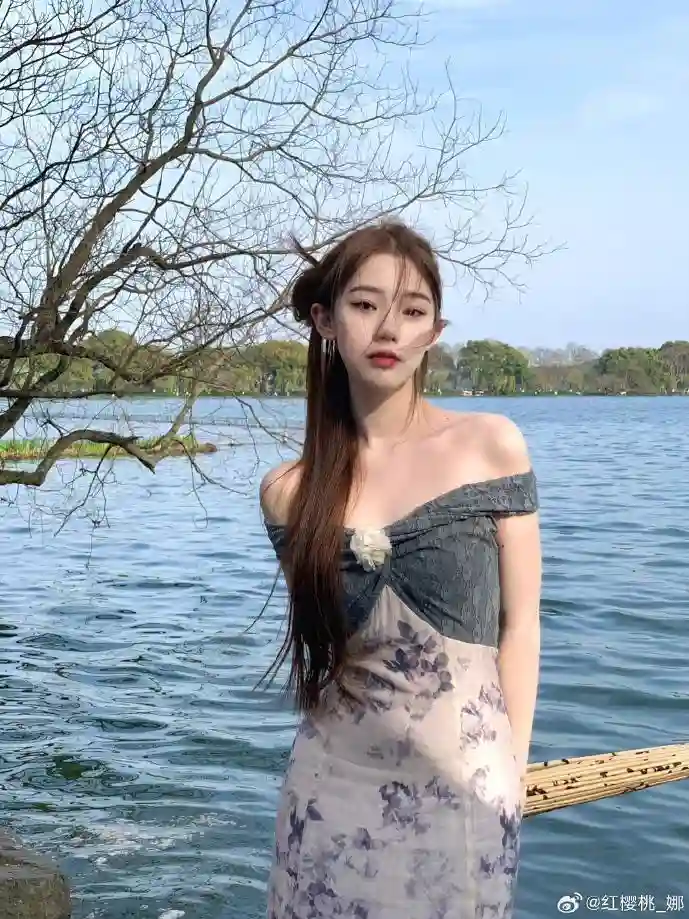 声音克隆使用场景统计